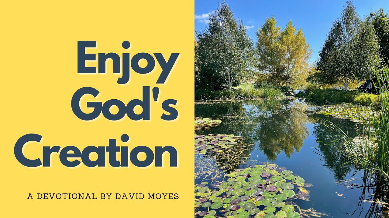 Enjoy God's Creation