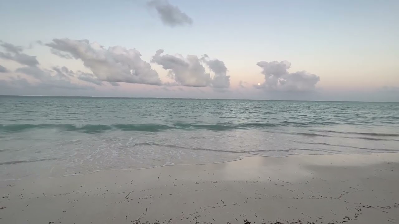 Zanzibar Moon & Tides 🌙🌊 