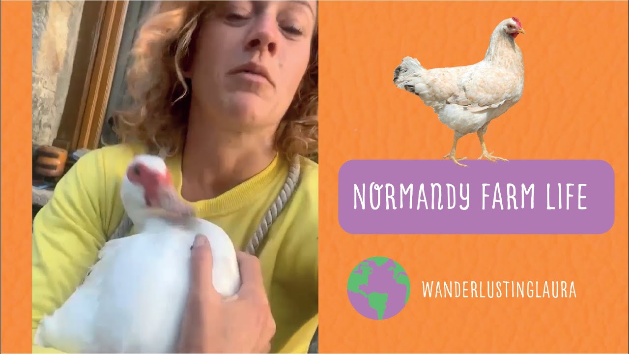 French Countryside Dream? Life on the Farm in Normandy 🇫🇷 | Travel Vlog