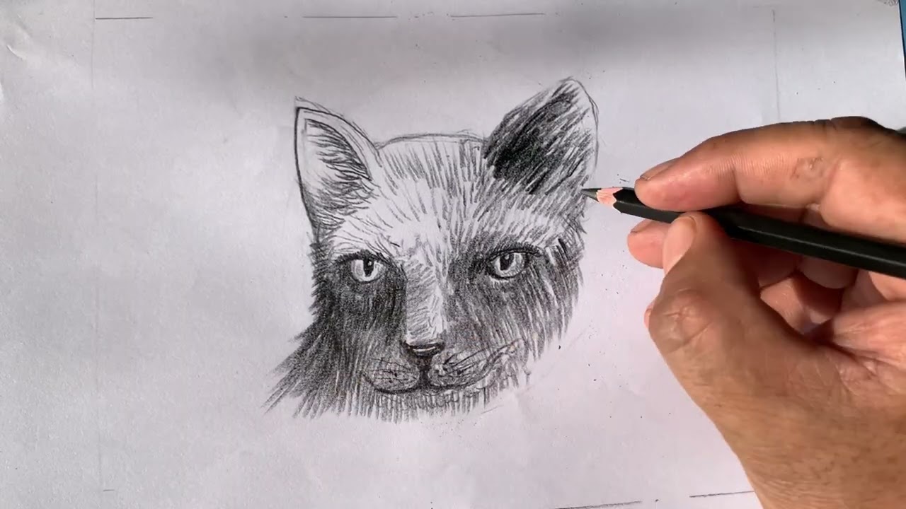 @pencil drawing art 