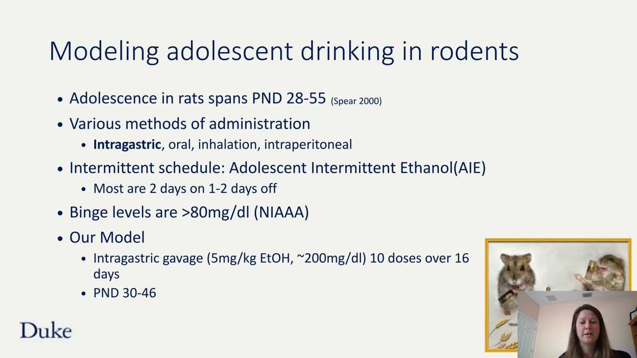 The Long Hangover Adolescent Intermittent Ethanol's Effects on Hippocampal Neuroimmune and...
