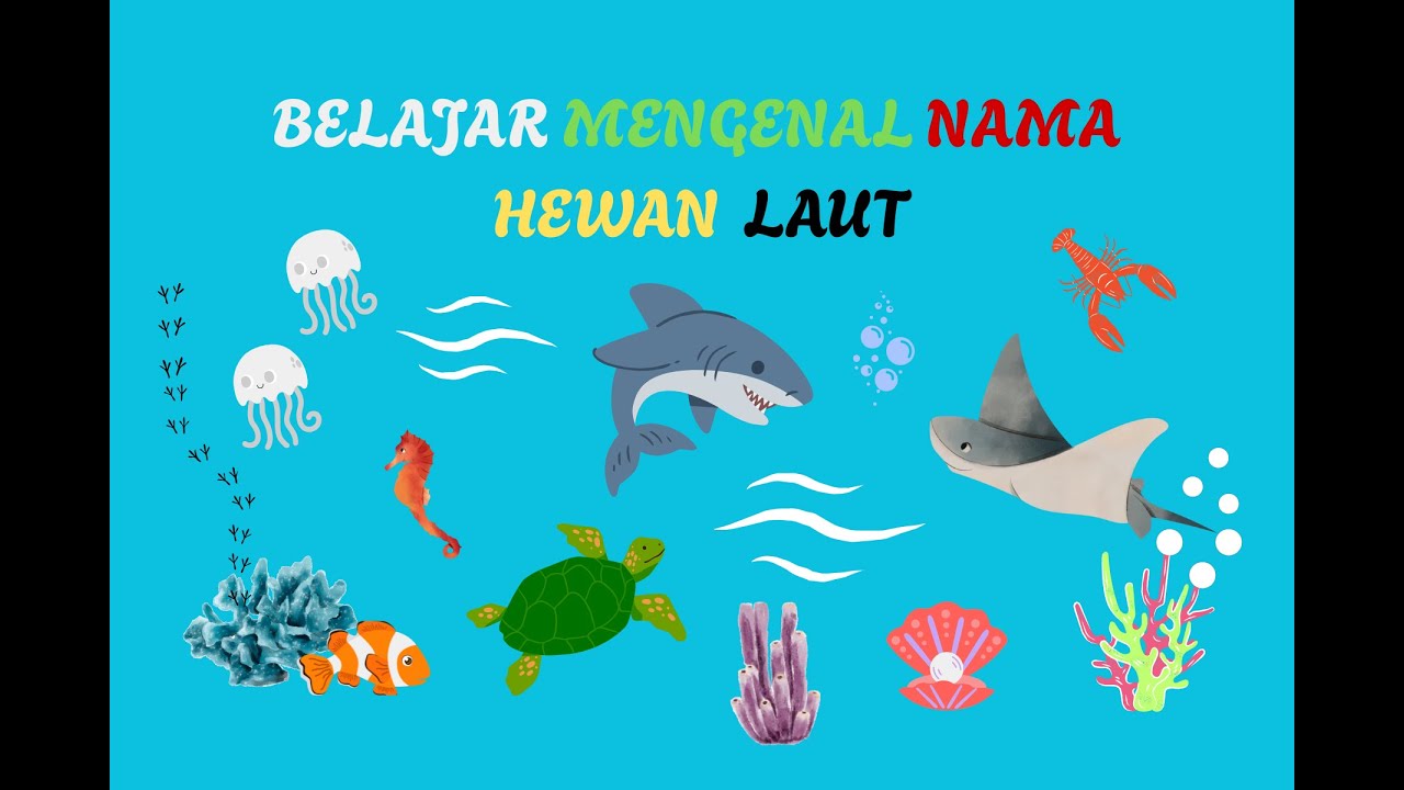BELAJAR MENGENAL NAMA HEWAN LAUT II MENGENAL NAMA HEWAN LAUT