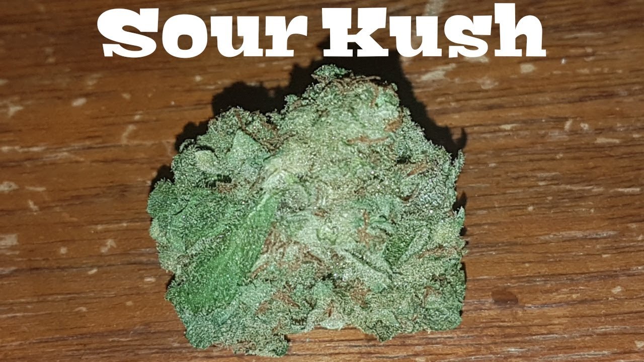 Strain Review - Sour Kush AKA Two-Tone Ban