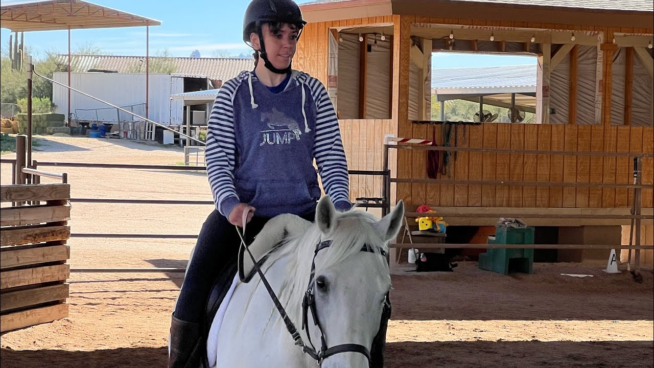 This what I did today I had my Horse 🐎 Lesson at horse 🐴help 