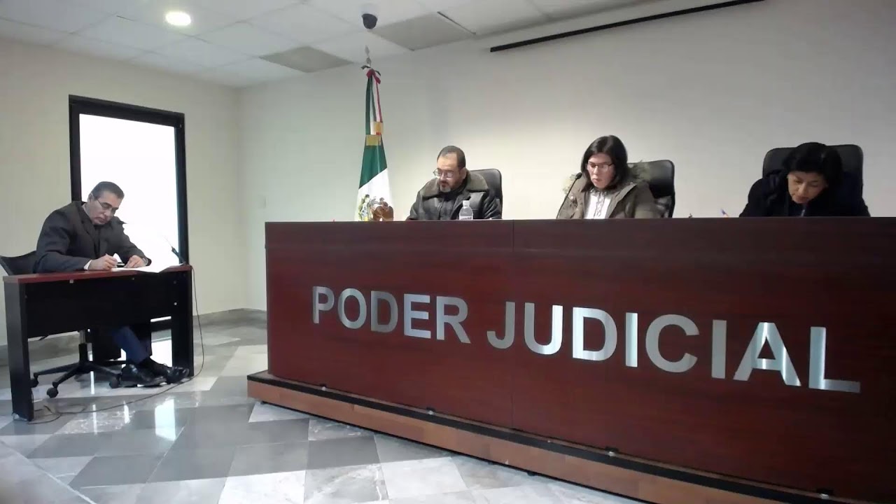 Sesión de Pleno, 13 de enero de 2026