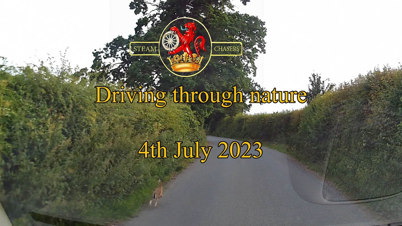 Driving through nature 4th July 2023