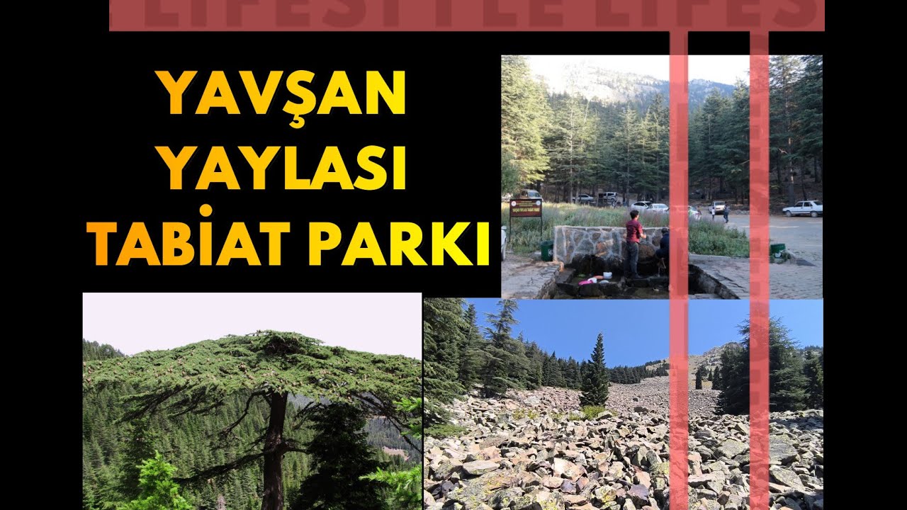 KAHRAMANMARAŞ YAVŞAN YAYLASI TABİAT PARKI