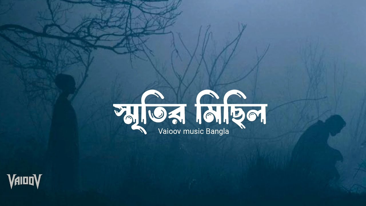 স্মৃতির মিছিল | Smritir Michil | Emotional Bangla Sad Song | Vaioov Music Bangla 