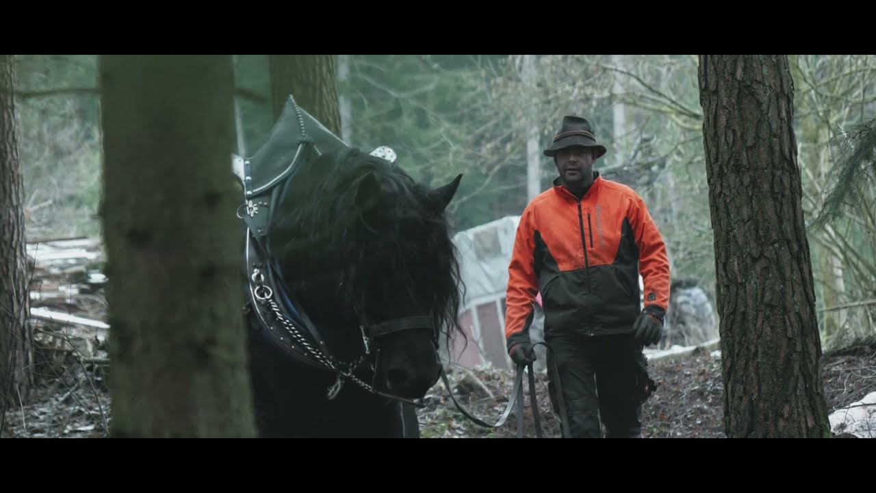 2022 -SANDRO-  Holzrücken  - Strong Horses