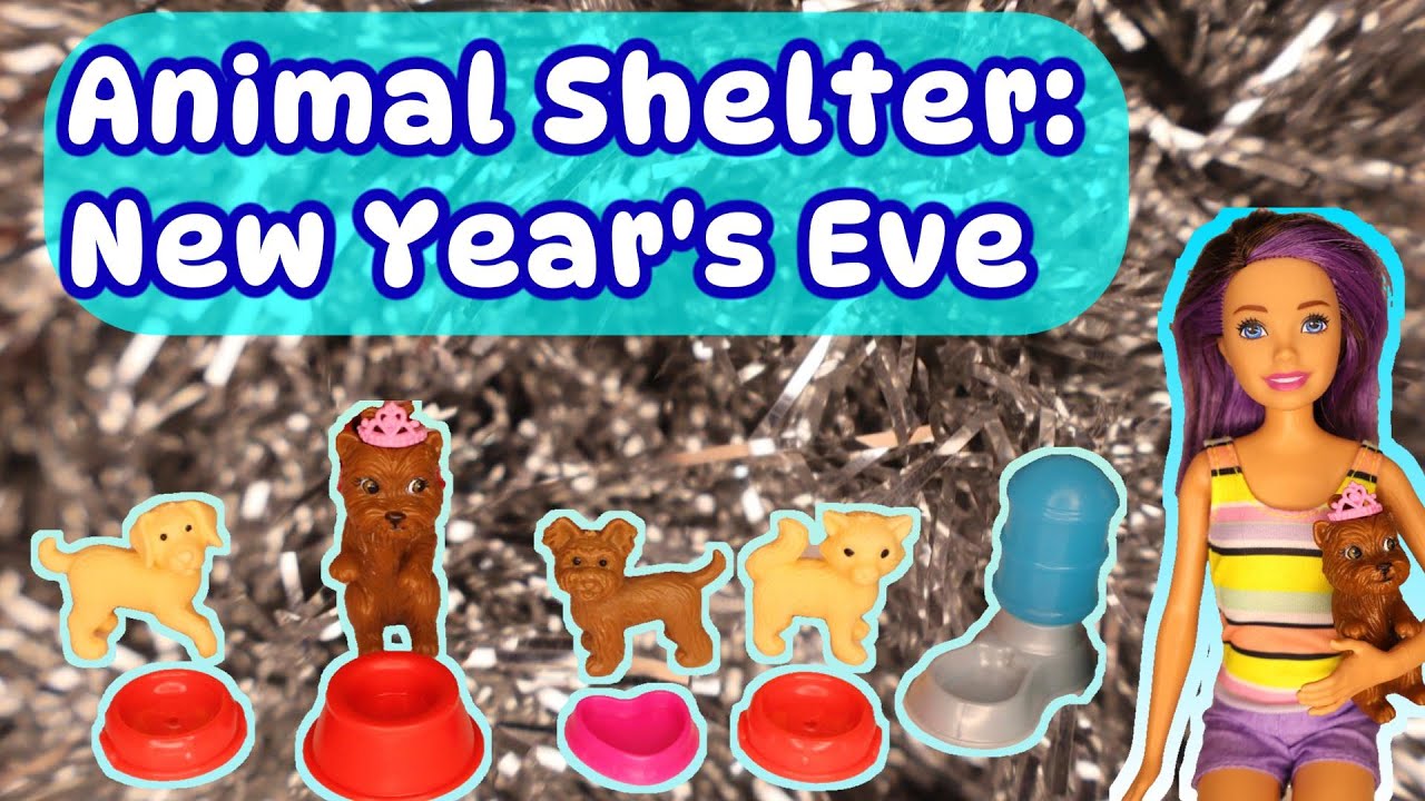 A Day in the Life - Animal Shelter (Fun, educational video for Kids)