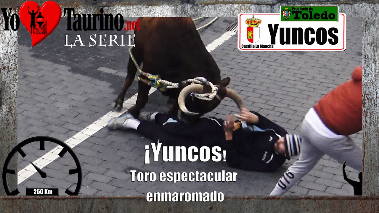 ⚠️Elegido el Toro Enmaromado de Yuncos 