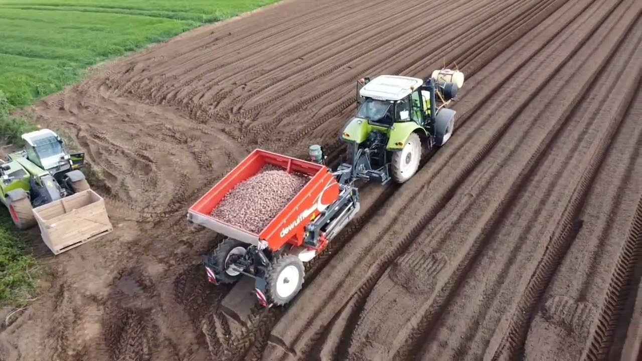 plantation pommes de terre 🥔 2022 avec dewulf Earl kerbourdonnet