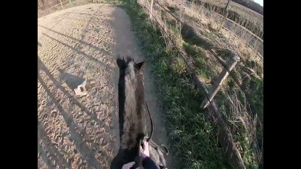 Super séance de saut avec une autre monture !! ^^ [GOPRO]