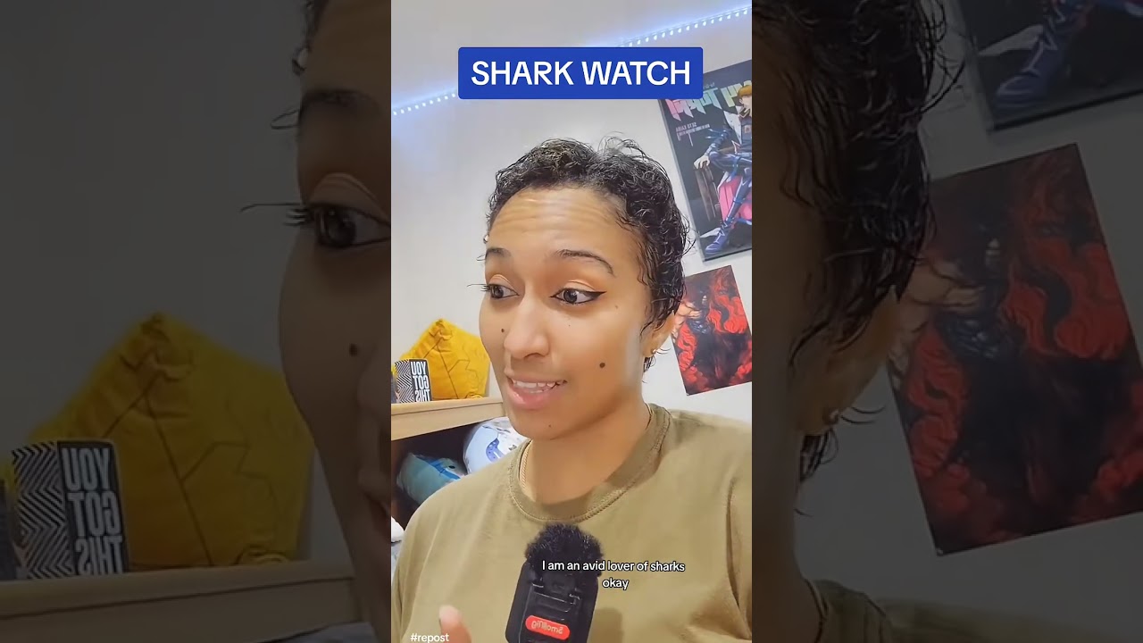 Shark Watch & Swim Call 