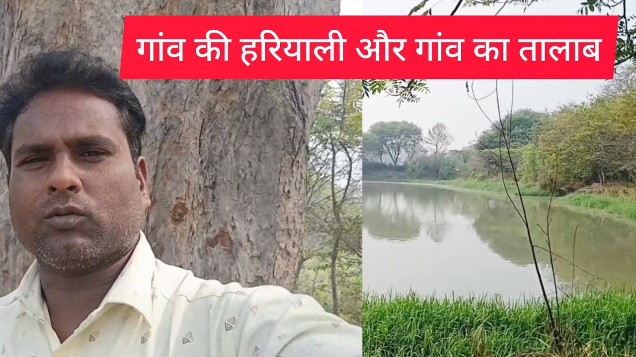गाव की हरियाली गाव का तालाब #villagevlog #vlog 