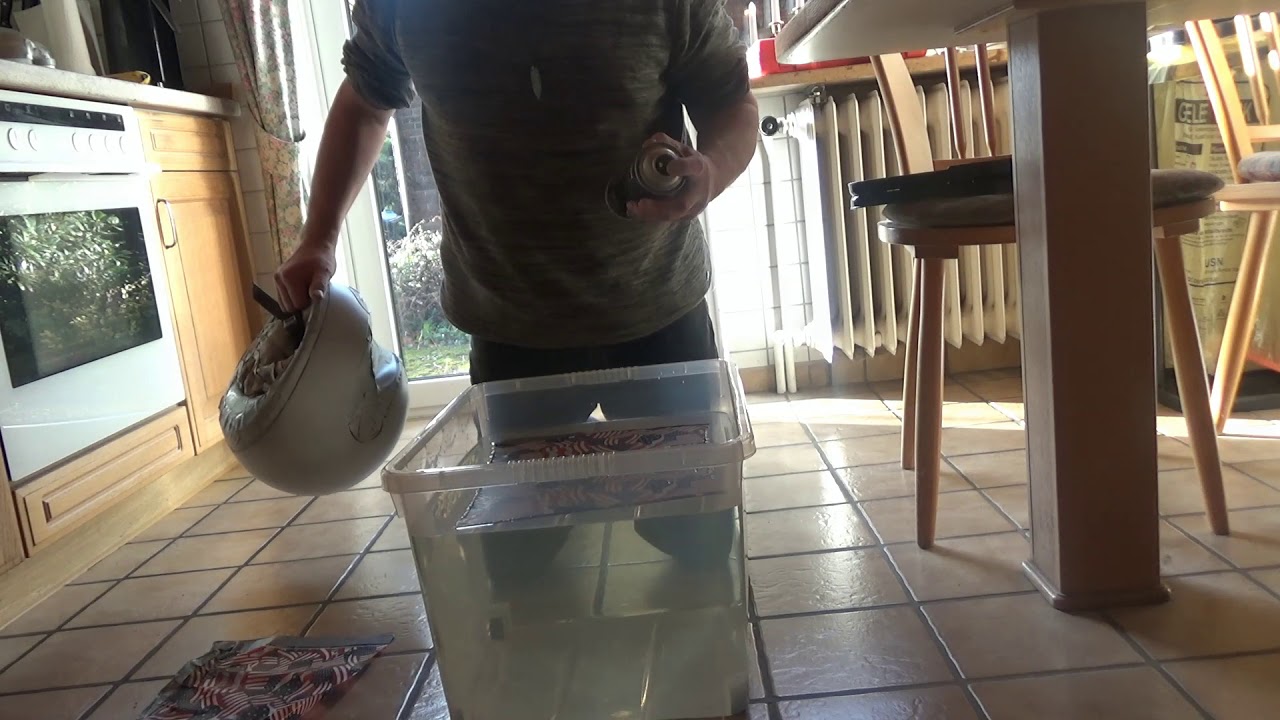 Mein erster Wassertransferdruck-Versuch !