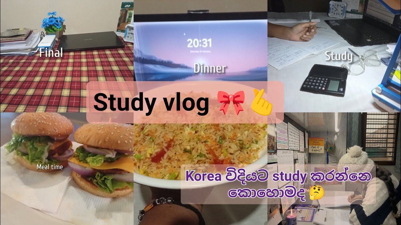Korea  විදියට study කරන්නෙ කොහොමද 🤔 | study vlog 🫰 #motivation #studytips #study #koreanstudy #study