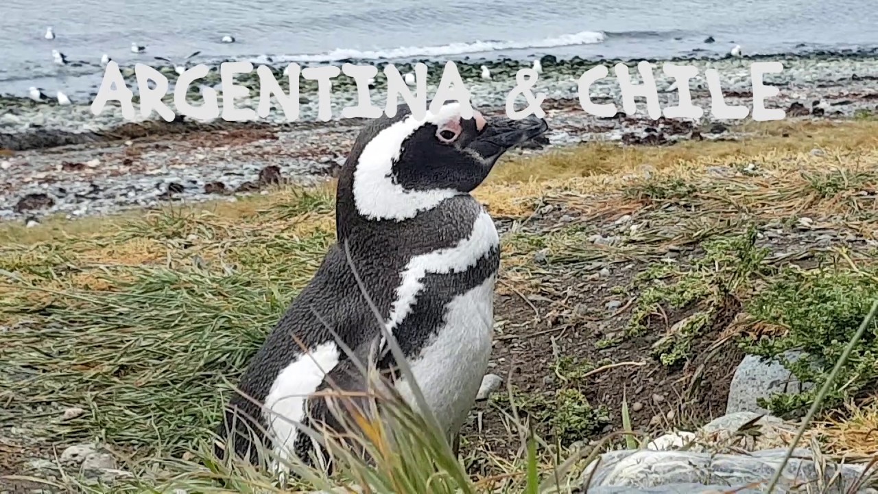 PATAGONIA 2020