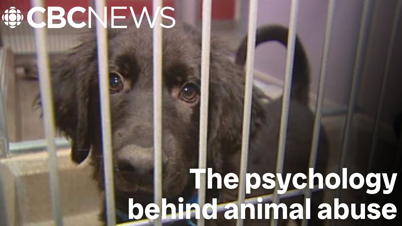 Unmasking Cruelty: The Psychology Behind Animal Abuse