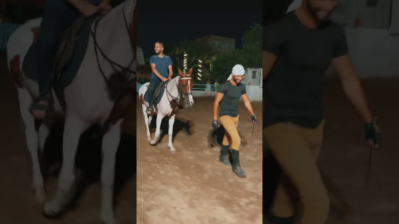 اول مكان ف اسكندرية لركوب وتدريب الخيل والمكان جامد جدا