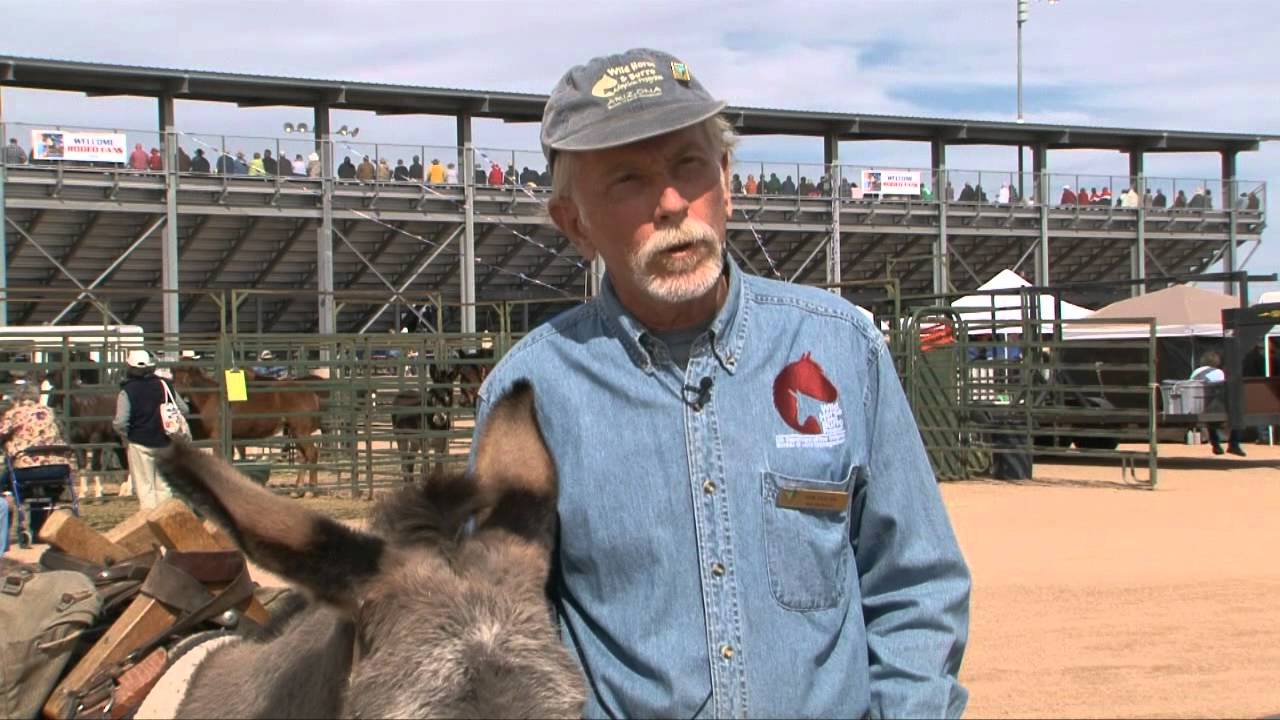 Adoption Tale: Tom and Hualapai