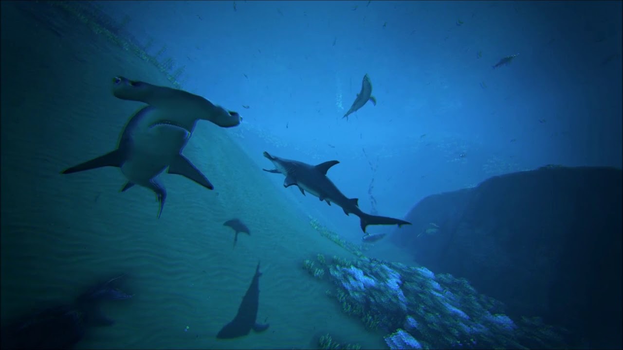 ARK: Additional Creatures Mod - Official Trailer