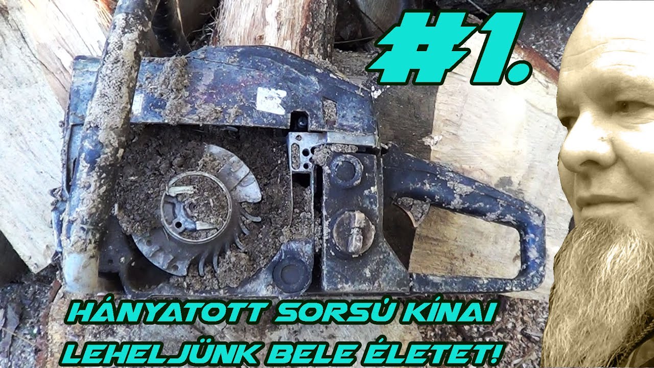 Méhtelepi szökevény - kínai láncfűrész.##1.