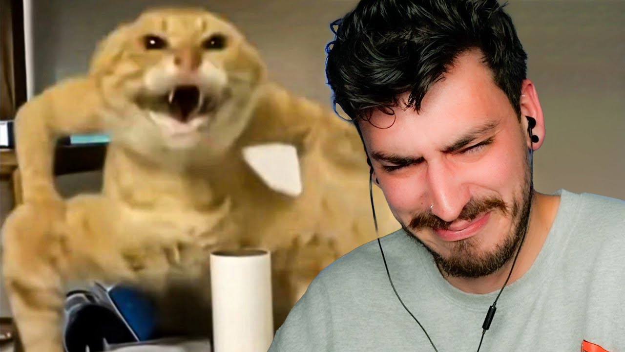 THE HARDEST I'VE EVER LAUGHED (Try Not To Laugh 34)