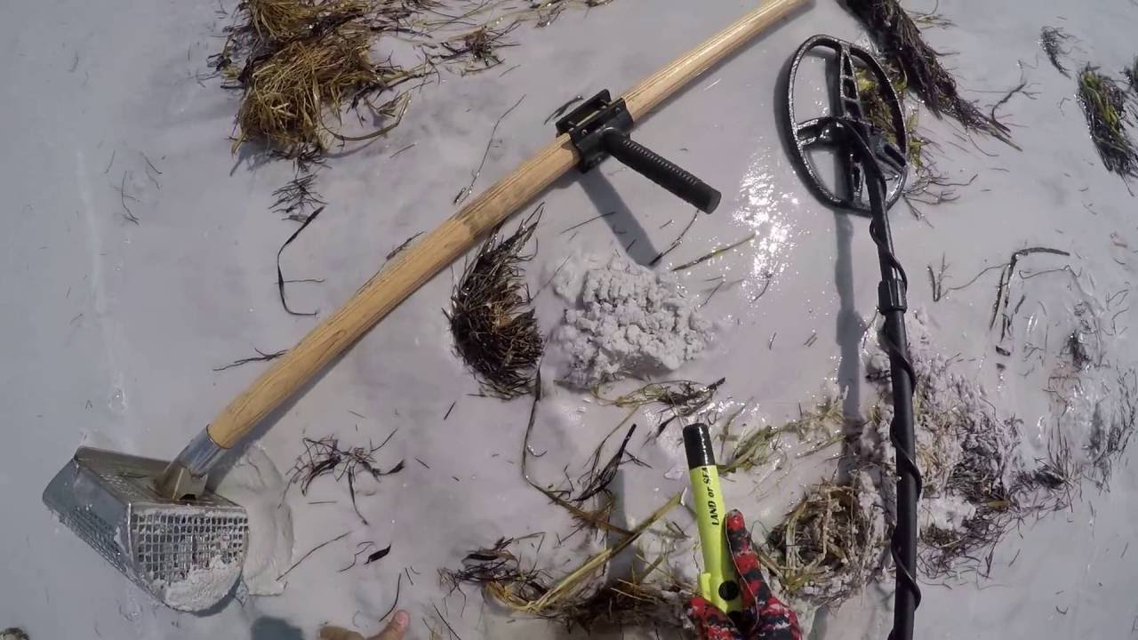 AT Pro Freak Out at the Beach - Metal Detecting