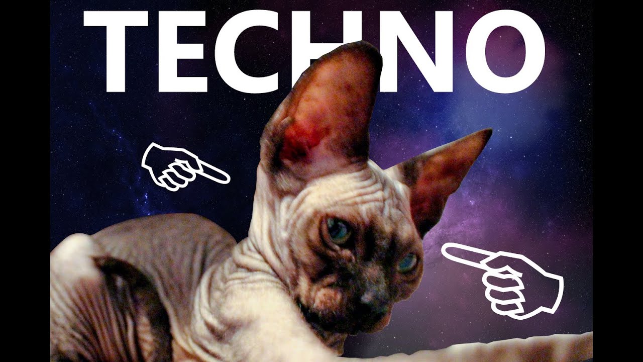Minimal Techno [AI Selection] - (Cat Included)