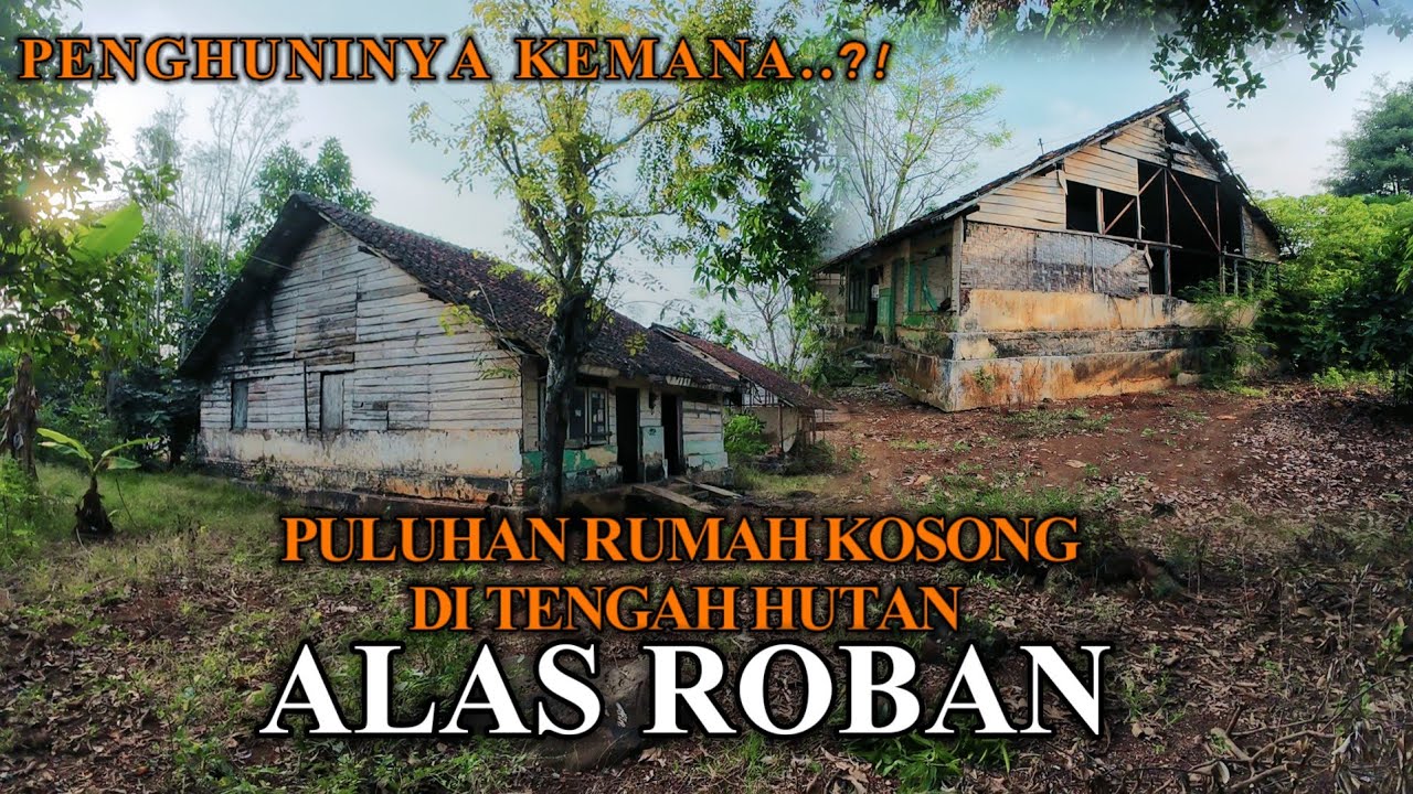 KAMPUNG MATI DI TENGAH HUTAN ALAS ROBAN — Kenapa Ditinggalkan?”