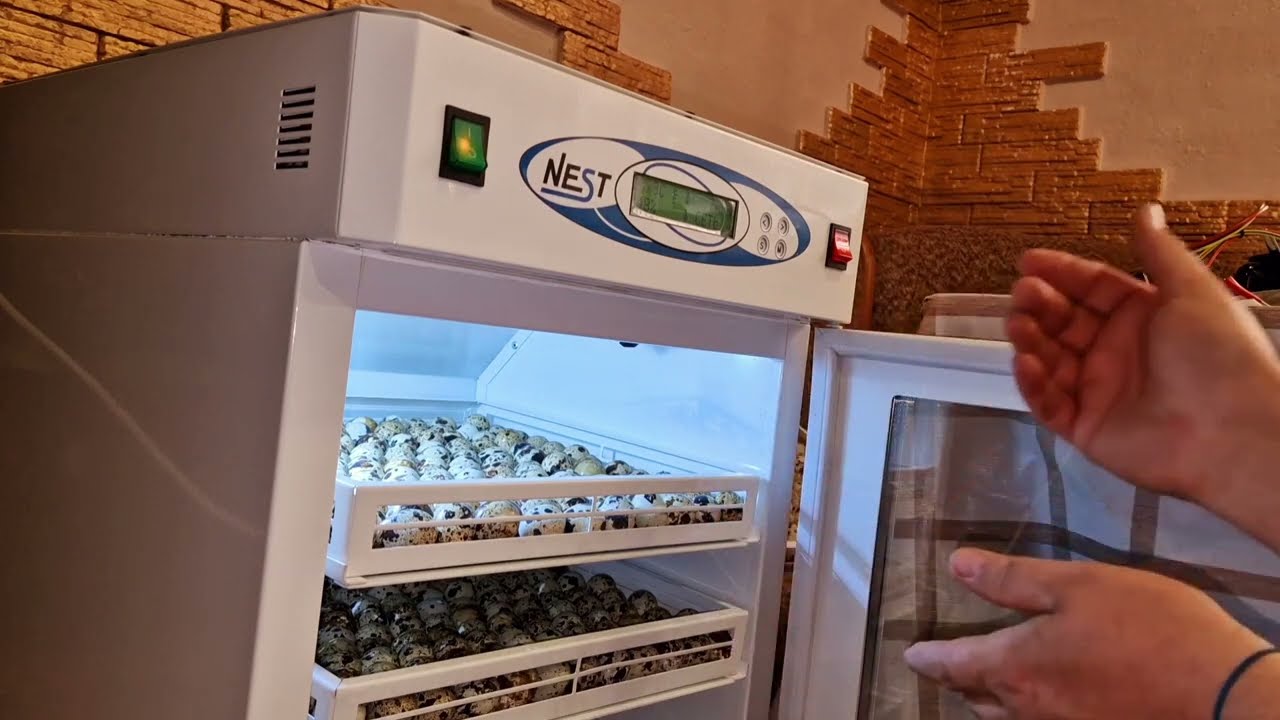 закладка нового инкубатора NEST 200!