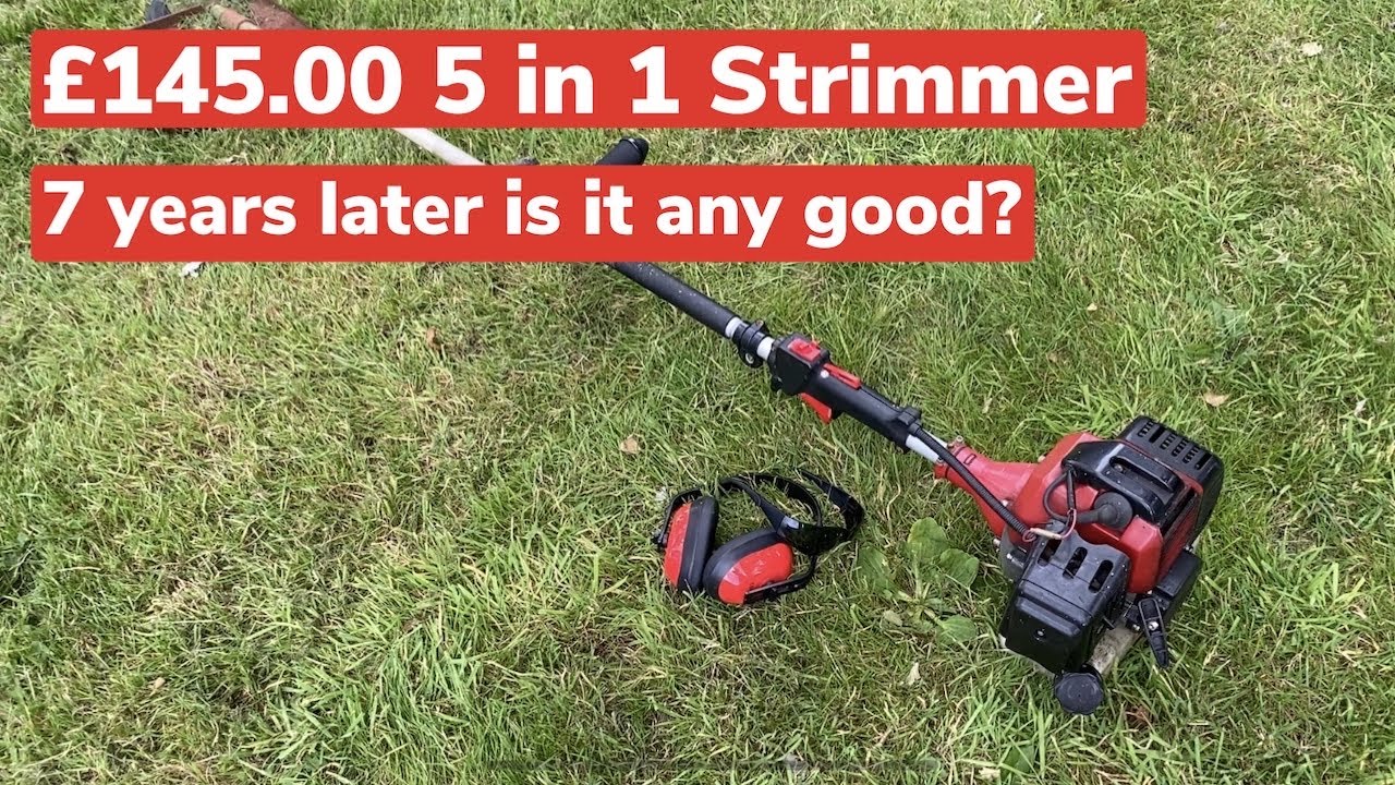 Is a cheap strimmer worth it? £145 - 7 years on!