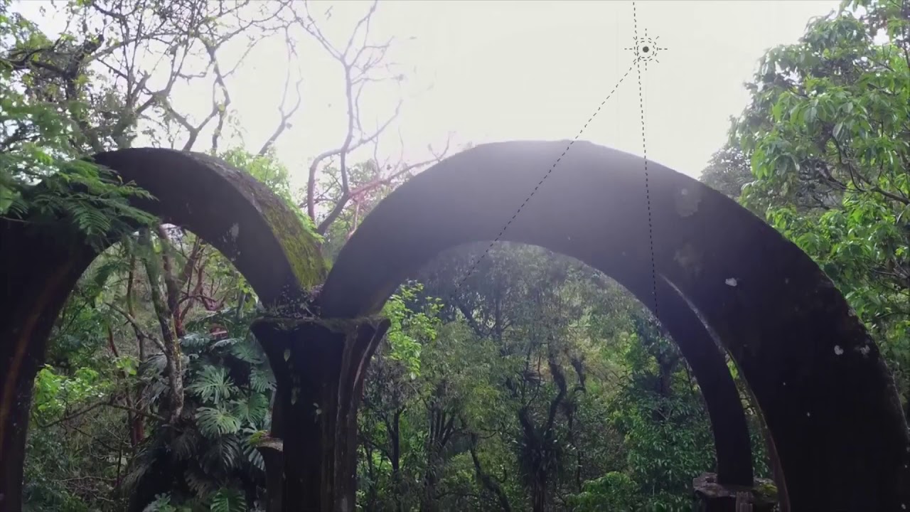 Las Pozas - Anna Sztwiertnia
