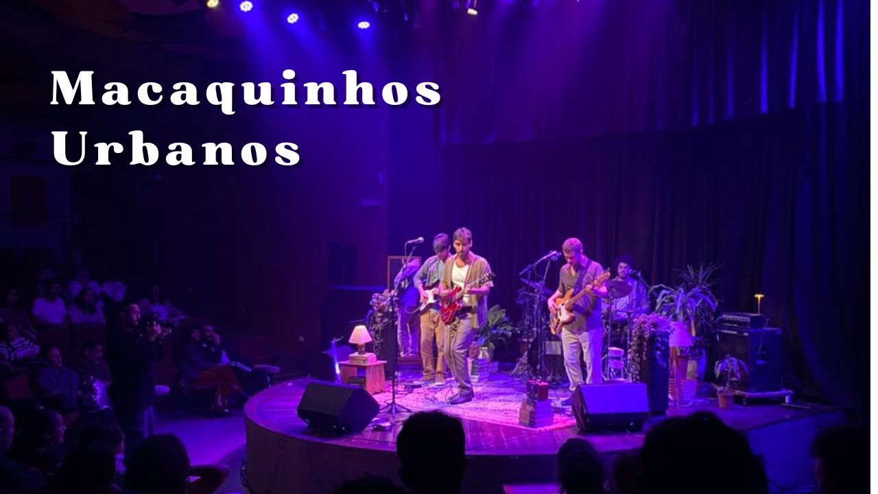 Calvano - Macaquinhos Urbanos (ao vivo)