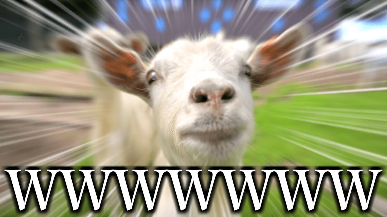 俺がヤギになるとこうなるWWWWWWWWWWWWWWWWWWWWWWWW