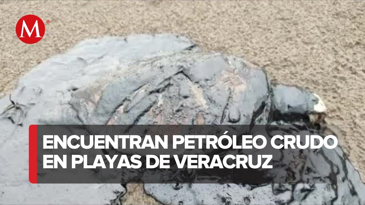 Reportan aparición de petróleo crudo en playas de Coatzacoalcos, Veracruz