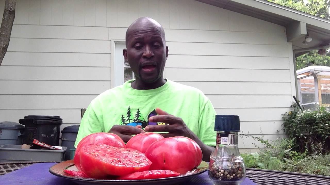 Pink Brandywine Heirloom Tomato