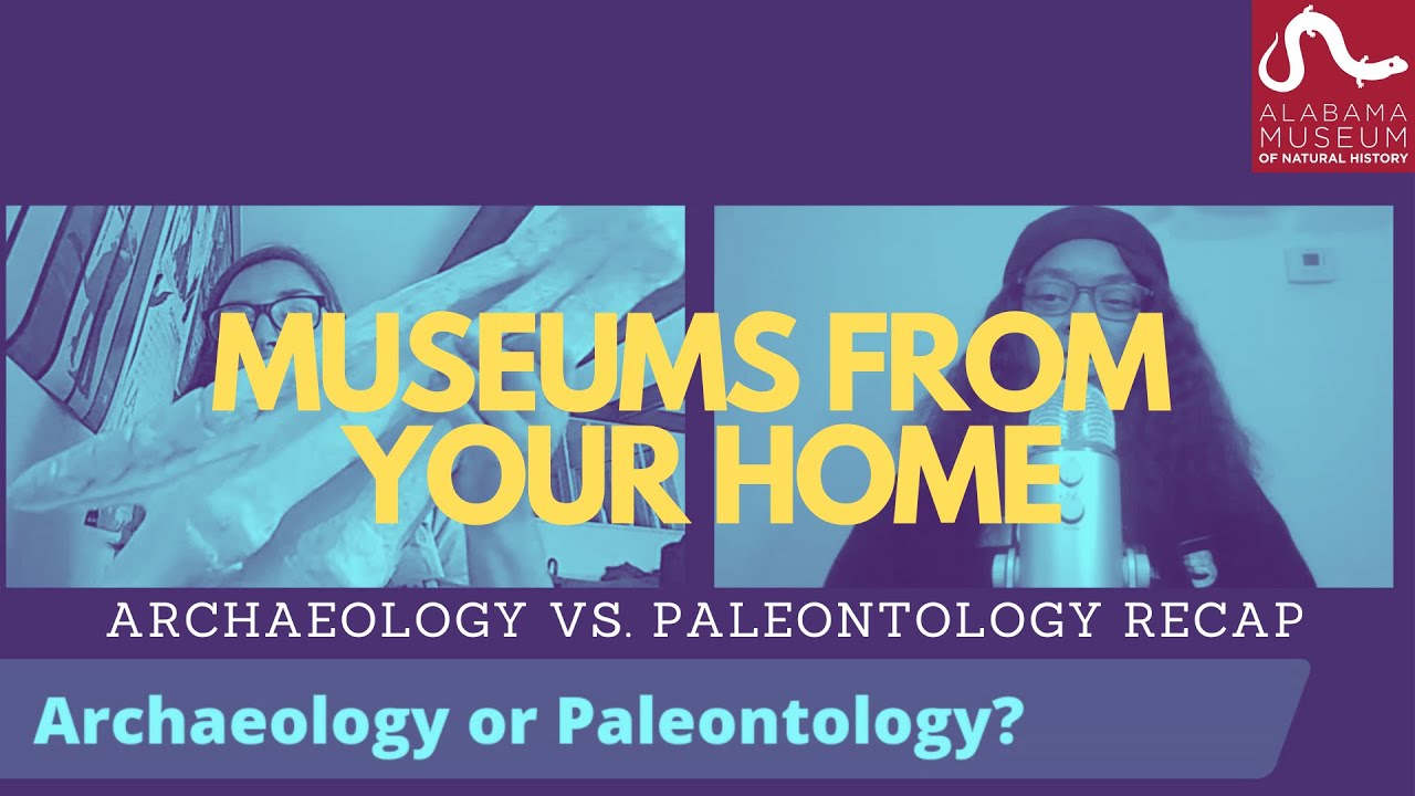 Museums From Your Home: Archaeology vs. Paleontology Recap