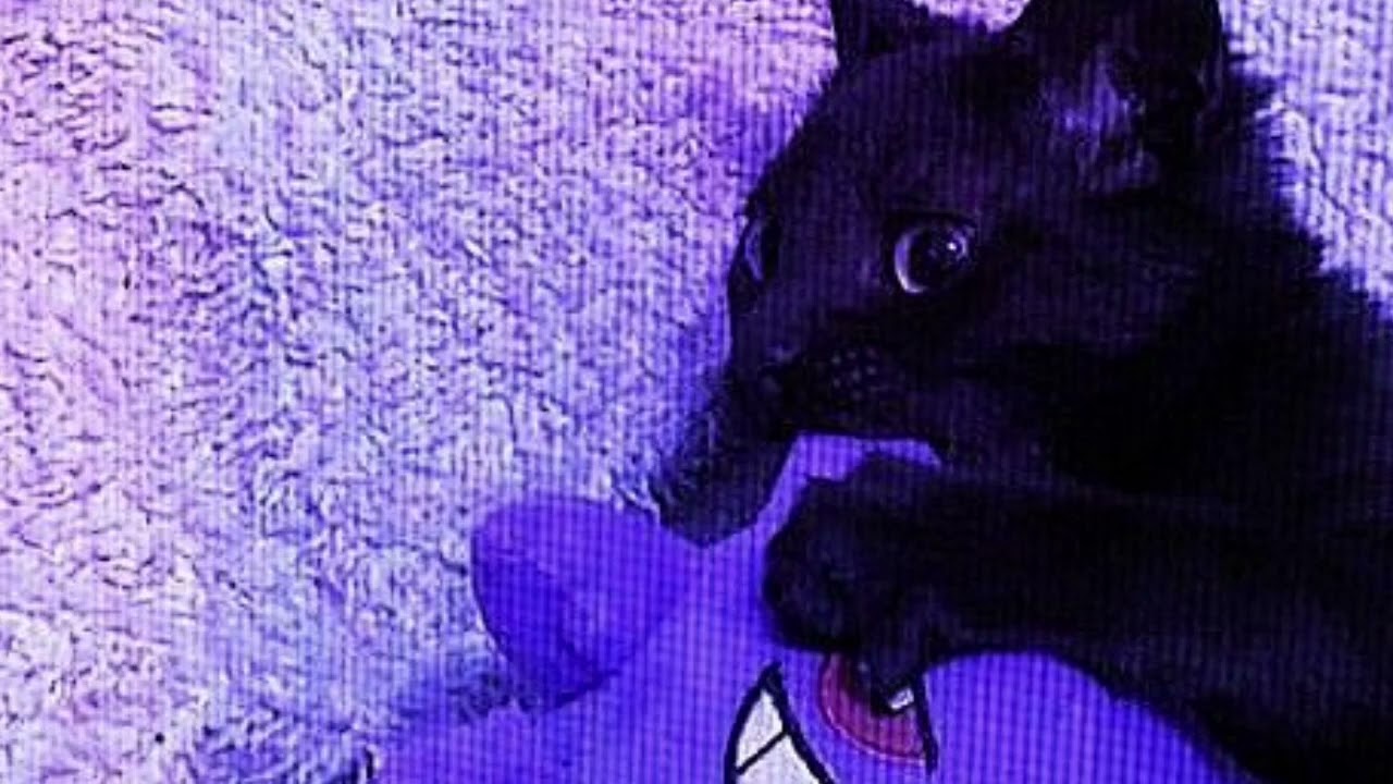 Big Giant Circles - Sevcon (Slowed)