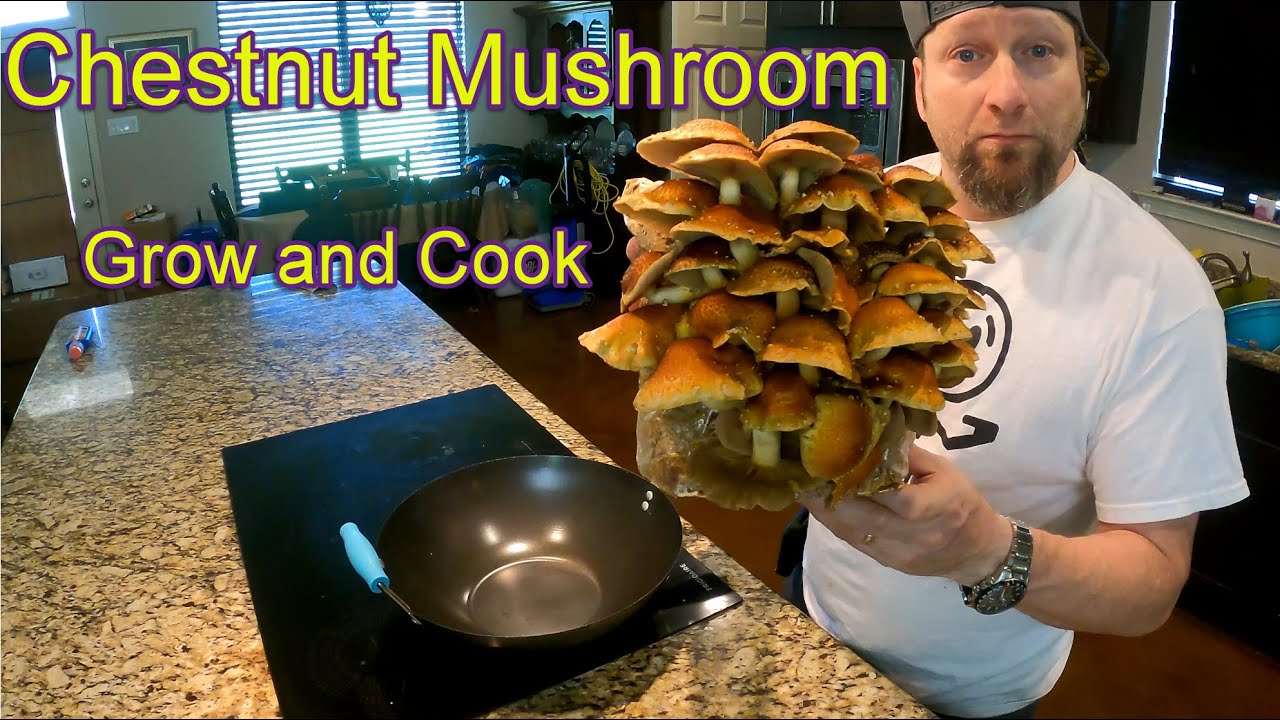 Chestnut Mushrooms - Grow and Cook