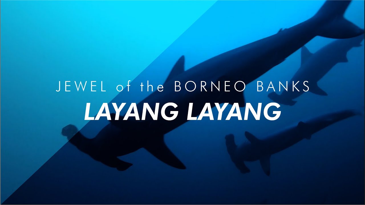 Scuba Diving in Layang Layang Sabah - Jewel of the Borneo Banks