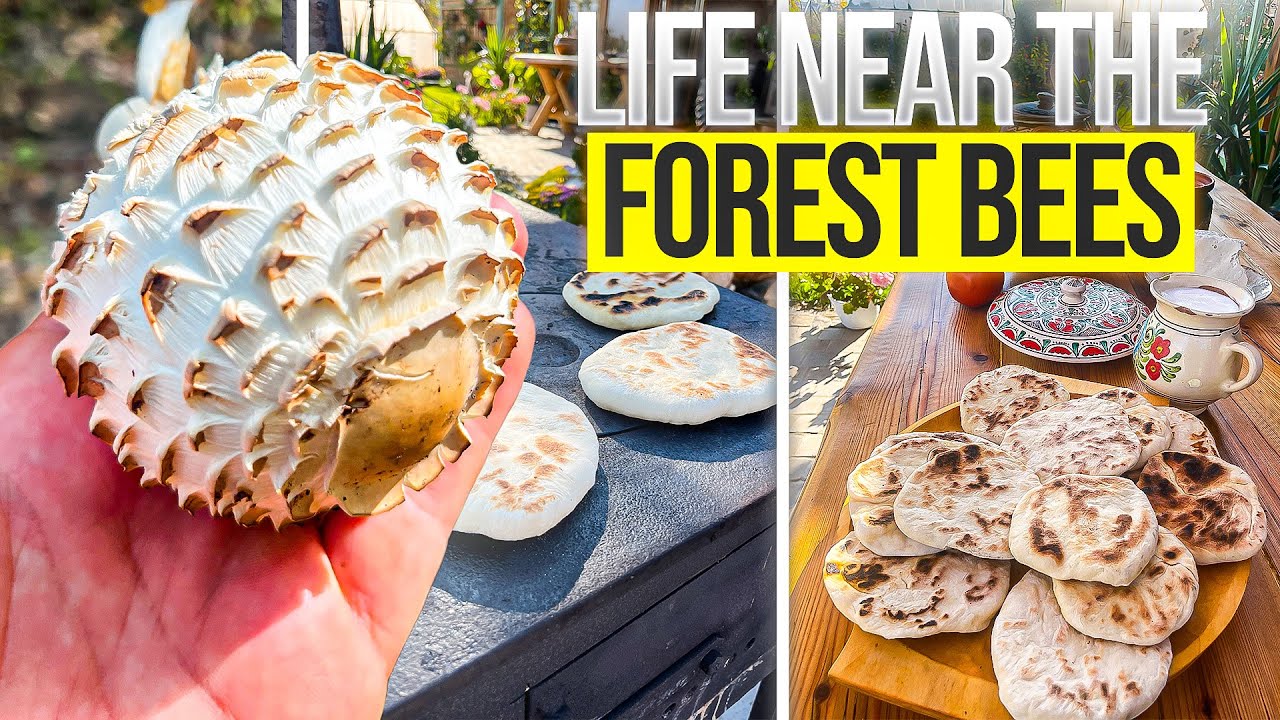 A Day in the Forest: Beekeeping, Mushroom Foraging, and Homemade Meals