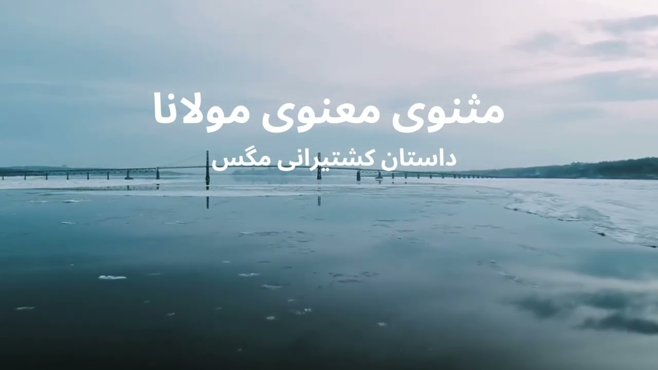 داستان کشتیرانی مگس