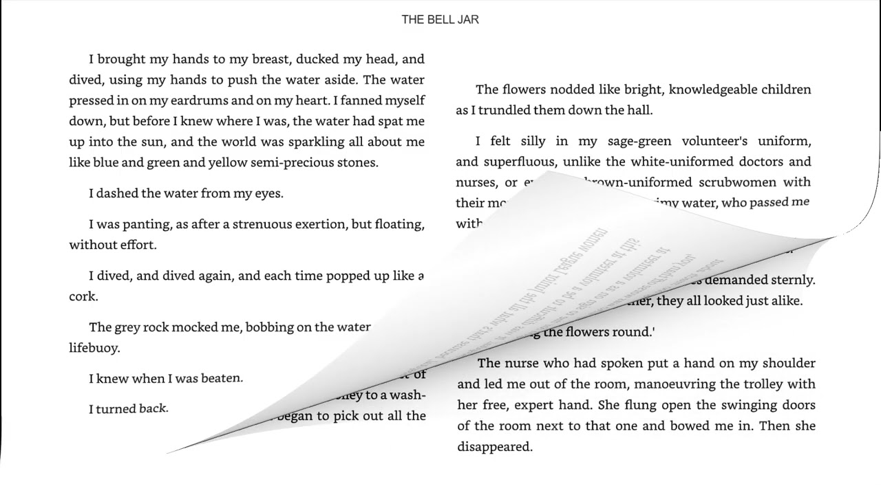 The Bell Jar Chapter 13