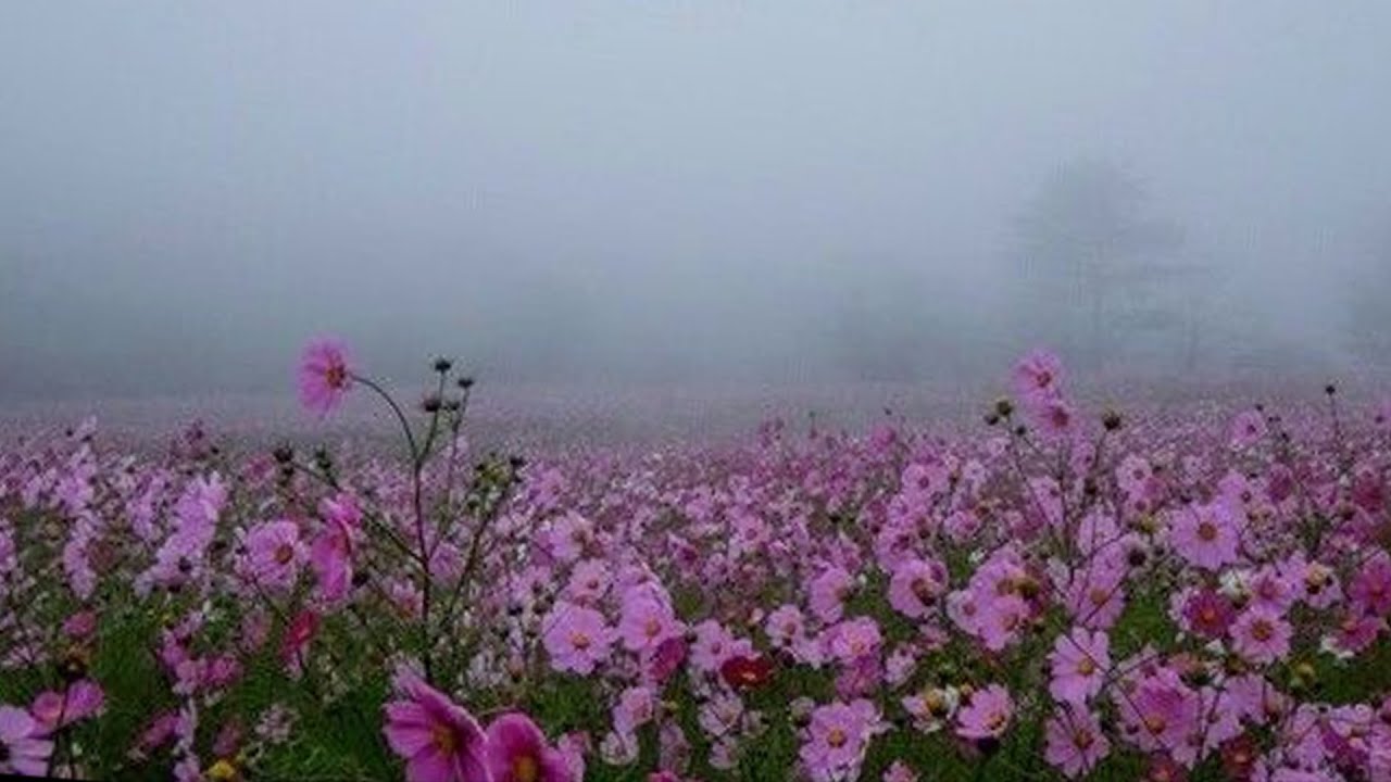 [free] sad lil peep x guardin type beat ~ blame me