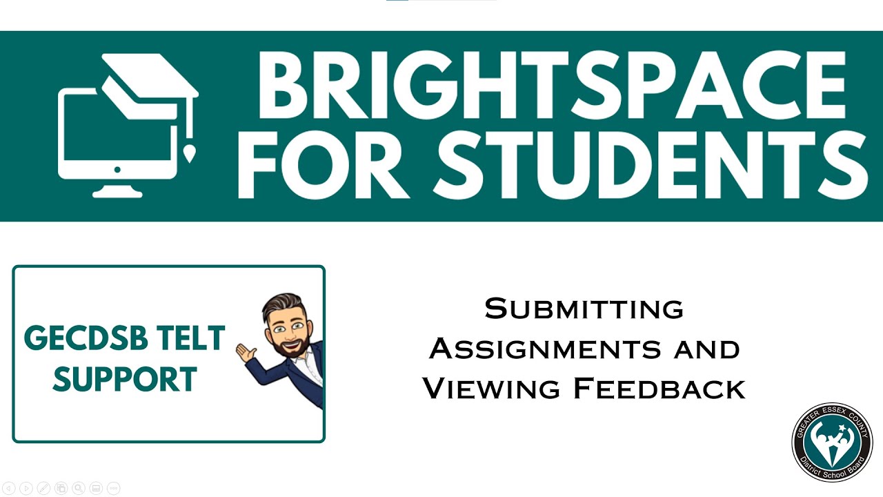 Submitting Assignments and Viewing Feedback