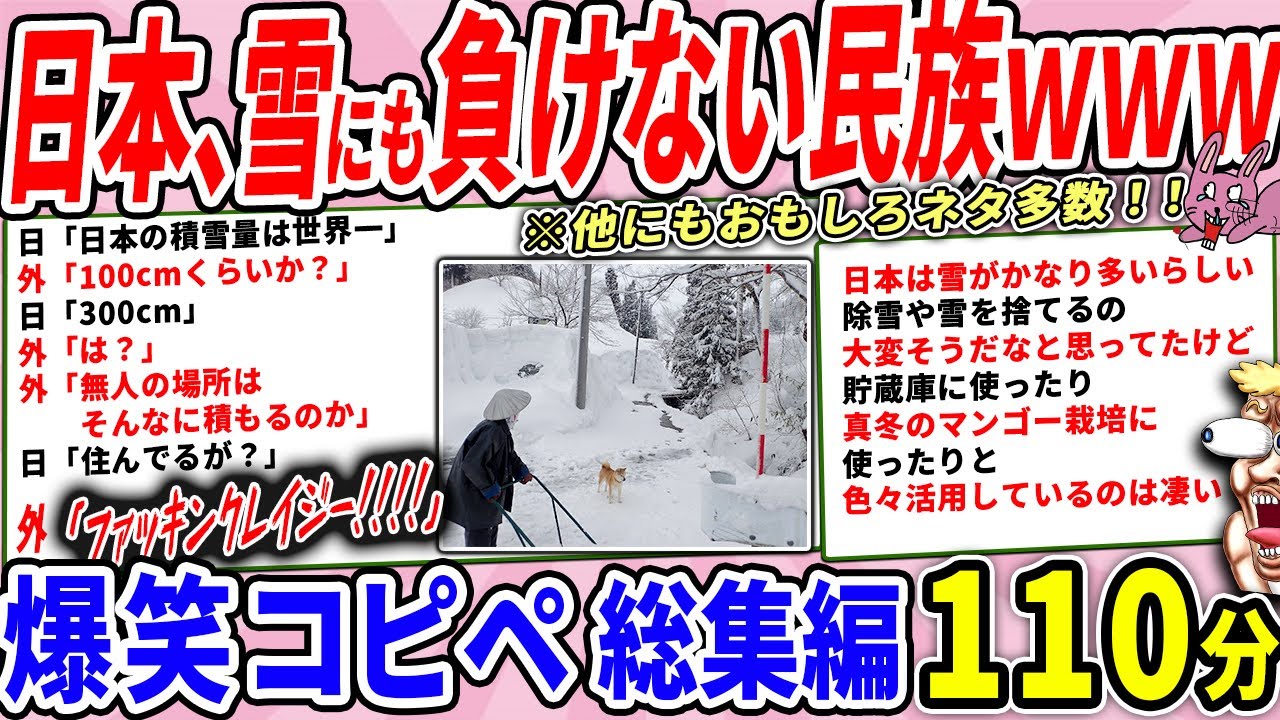 日本、豪雪でもただでは起きないスーパー民族だったｗｗ