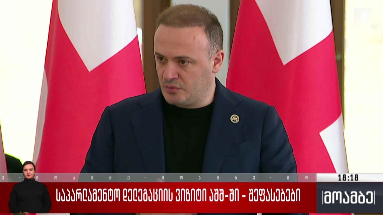 საპარლამენტო დელეგაციის ვიზიტი აშშ-ში - შეფასებები