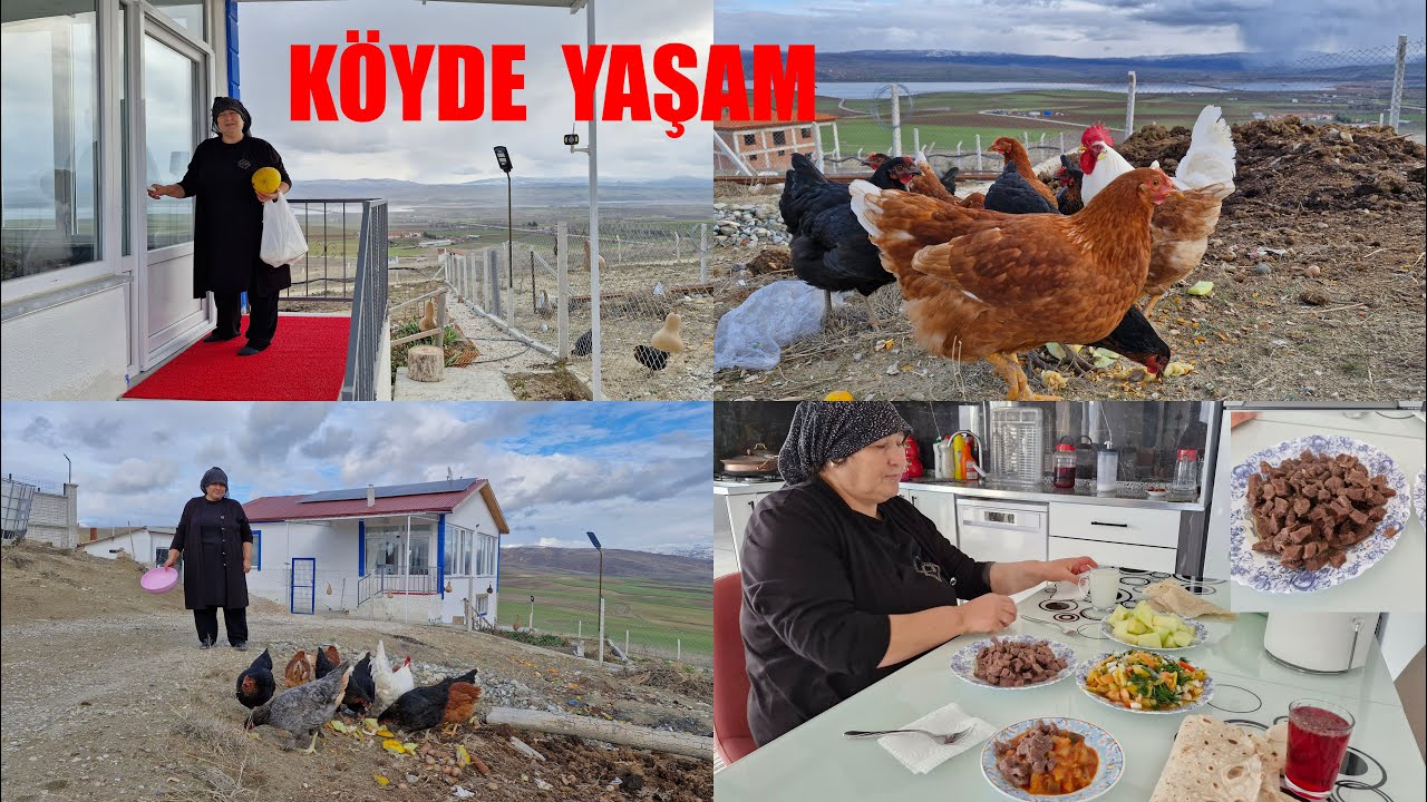 YENİ EV KİRALAMAYA KARAR VERDİK AKŞAM MENÜMÜZDE ET KAVURMA